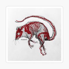 a red and white drawing of an animal with long, curved tail legs sticker