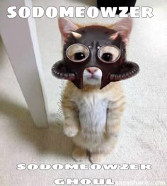 a cat wearing a mask with the caption sodomeowezer choll