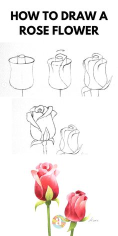 how to draw a rose flower step by step with pictures and instructions for beginners