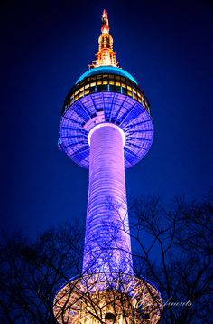 a tall tower lit up at night with trees in the foreground and blue sky behind it