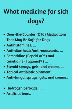 a blue poster with the words what medicine for sick dogs written in black on it