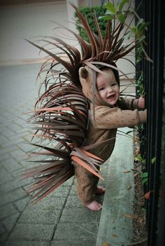 a baby dressed as a hedgehog climbing on a fence with his hands in the air