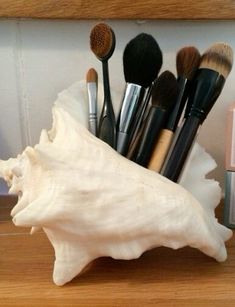 there are many makeup brushes in the shell