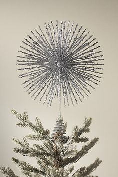 a christmas tree with a starburst decoration on it's top in front of a white wall