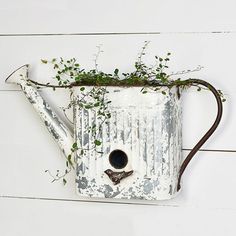 an old watering can with vines growing out of it