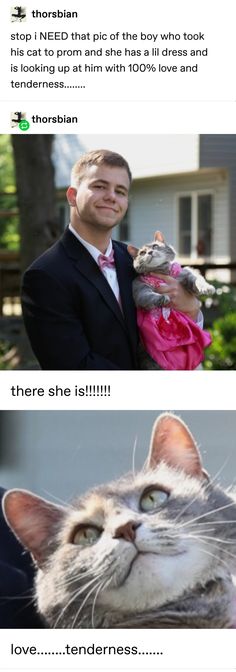 two pictures one with a cat and the other has an image of a man in a suit