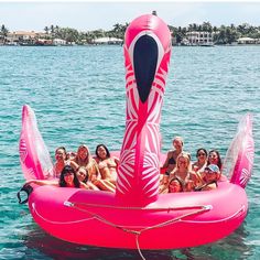 a group of people riding on the back of an inflatable flamingo boat