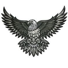 an eagle with its wings spread out in front of a white background and the words, `