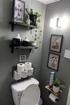 a white toilet sitting inside of a bathroom next to a wall mounted shelf filled with potted plants