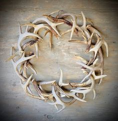 antlers arranged in a circle on a wooden surface