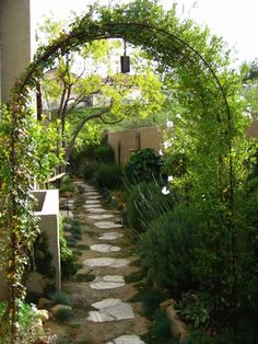 a stone path in the middle of a garden