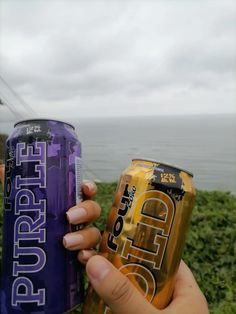 a person holding two cans of beer near the ocean