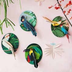 four plates with tropical birds on them are arranged in the shape of leaves and flowers