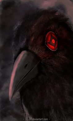 a close up of a bird with red eyes on it's head and black feathers