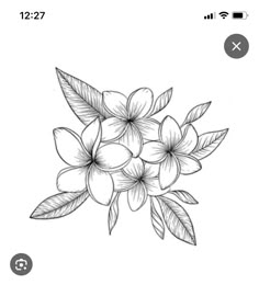 a drawing of some flowers on a white sheet with the words,'flower sketching app