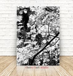 a black and white photo of leaves on a brick wall with the words cherry tart studio