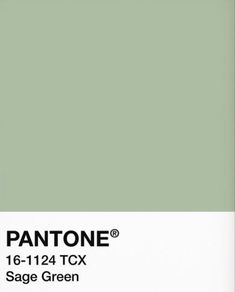 pantone's sage green paint is shown