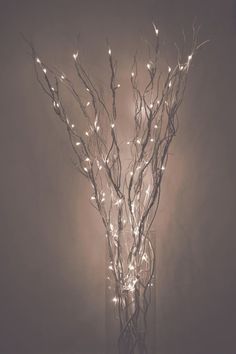 a vase filled with branches covered in lights