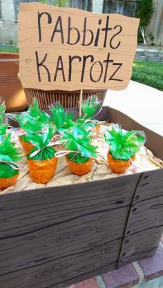 there are many potted plants on display in the box with a sign that says rabbit karroz