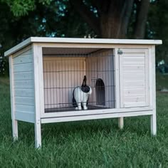 a cat in a cage on the grass