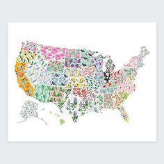 an illustrated map of the united states with colorful flowers and butterflies all over it in bright colors