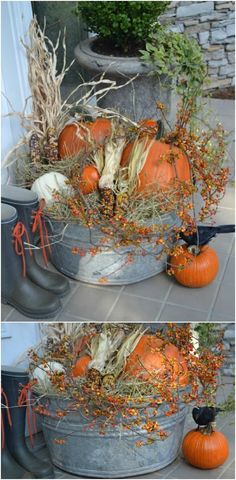 pumpkins and gourds sit in buckets on the ground