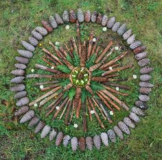 a circular arrangement of pine cones arranged in the shape of a star with flowers and leaves