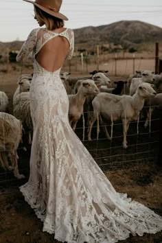 a woman in a white dress and hat standing next to a fence with sheep behind her