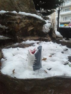 a toy alligator in the snow near some rocks