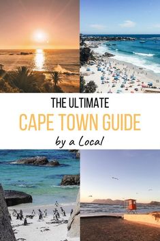 the ultimate guide to cape town