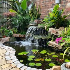 a small pond with water lilies in it and some plants around the pool area