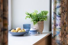 there is a bowl of fruit on the counter next to a vase and potted plant