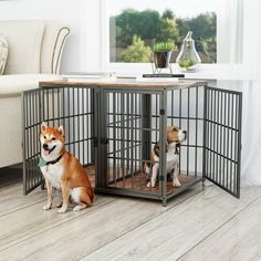 two dogs sit in their kennels on the floor next to a couch and coffee table