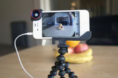 a cell phone is attached to a tripod on a table with fruit in the background