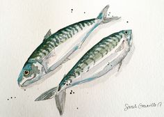 two fish are depicted in this watercolor and ink painting on paper, one is blue and the other is green