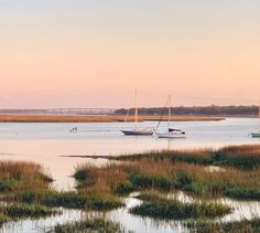 two boats floating on top of a body of water near grass and trees in the background