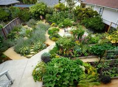 an aerial view of a garden with lots of plants and flowers in the middle of it