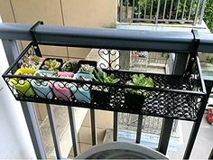 a balcony with potted plants on the railing and an iron basket holding them in place