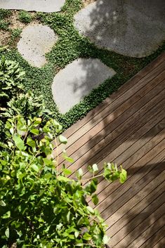 a bench sitting on top of a wooden deck next to a lush green bush and tree