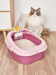 a cat sitting on the floor next to a litter box with a brush and scoop in it