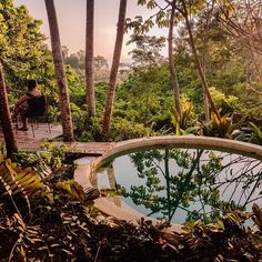 a person sitting on a chair in front of a pool surrounded by trees and plants