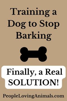 Training a Dog to Stop Barking Training A Dog, Stop Dog Barking, Dog Behavior Training, Potty Training Puppy, Calm Dogs