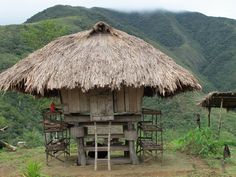 a hut with thatched roof sitting on top of a lush green hillside next to mountains