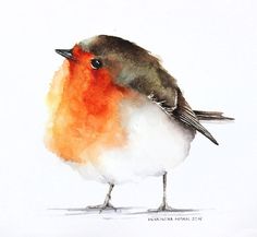 a watercolor painting of a small bird with orange and white feathers on it's head