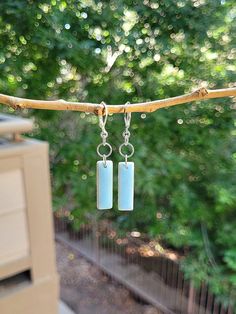 two small rectangular blue beads hanging from a tree branch in front of some green trees