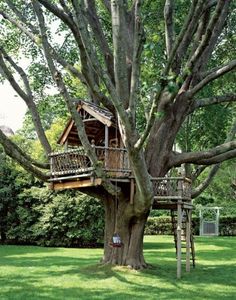 a tree house built into the side of a large tree