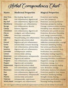 Magickal Correspondences, Medical Herbs, Witch Spirituality, Grimoire Book, Magic Herbs, Under Your Spell