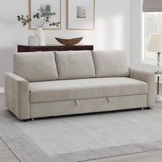 a living room scene with focus on the couch and rug in the foreground as well as two framed pictures