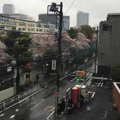 a city street filled with lots of traffic next to tall buildings and cherry blossom trees