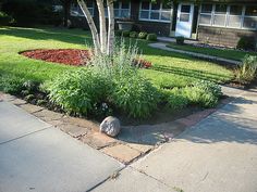 a small garden in front of a house